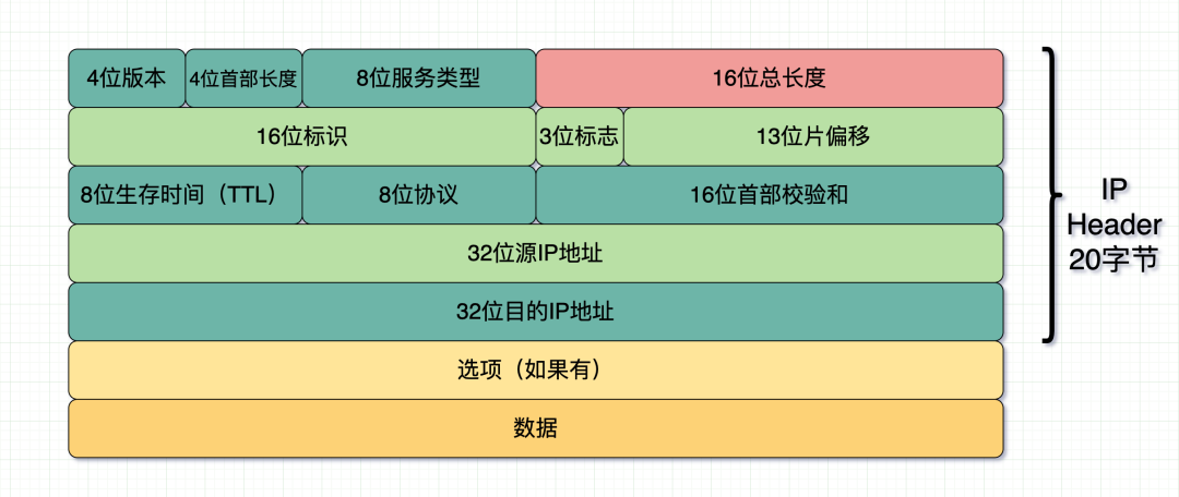 ip报头 图片